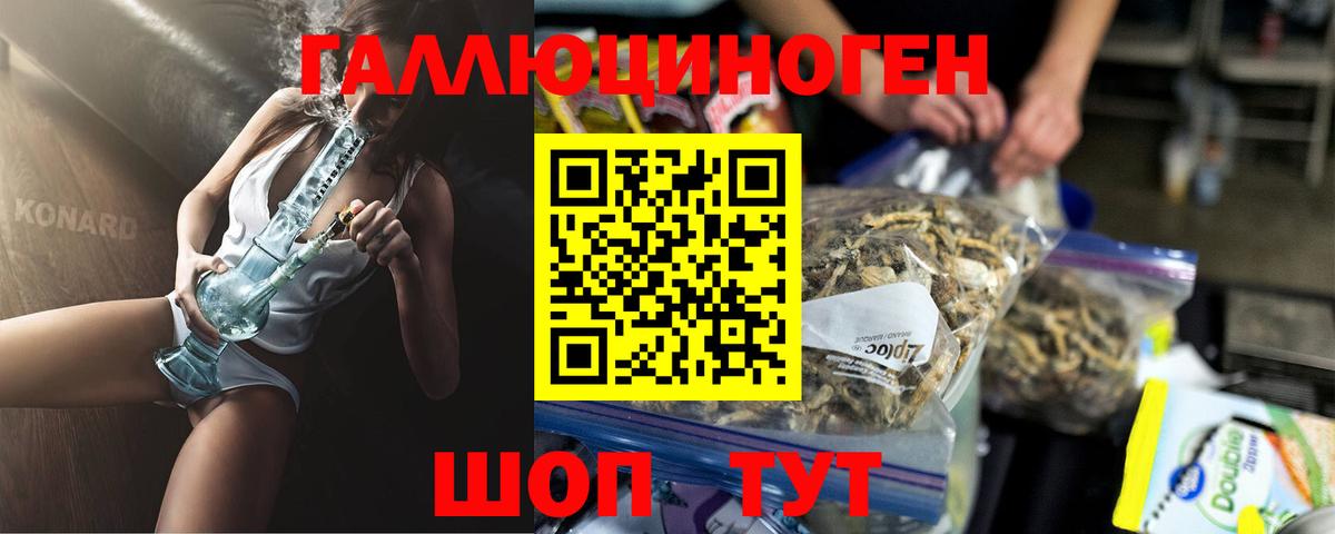 Псилоцибиновые грибы прущие грибы Печора